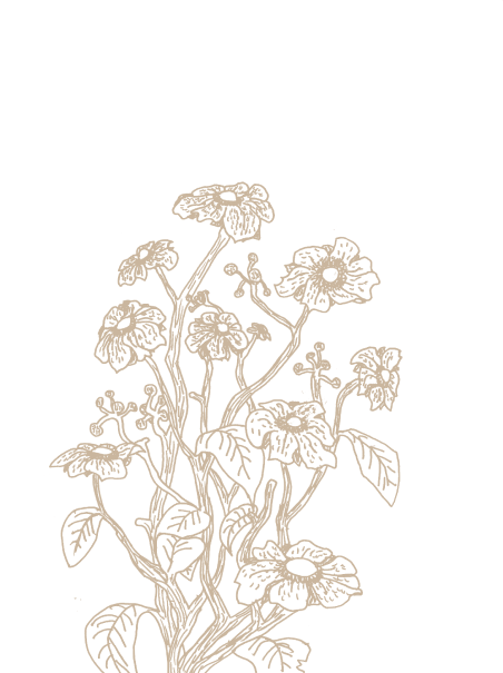 flower pic